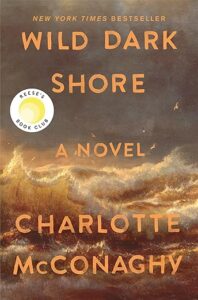 The cover of Wild Dark Shore features dark skies and choppy waves of an angry sea tinged golden yellow and orange in the sunset.